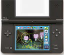 A DSi Camera picture that has been painted over.